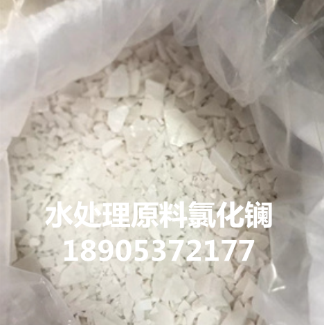 氯化镧片状（粉状）水处理材料 总量45% 实力供应商