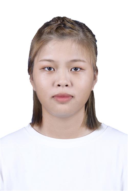 何金带  