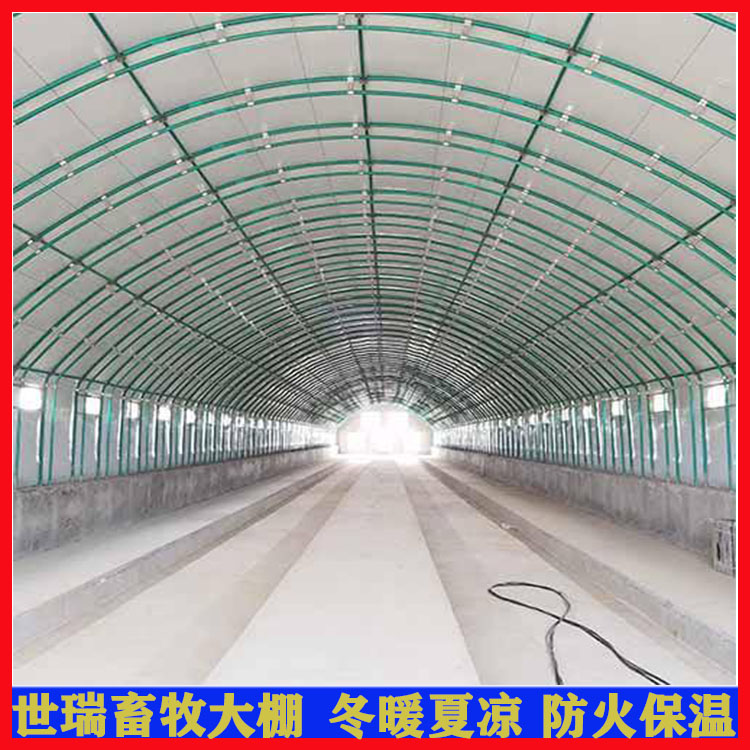 全自動(dòng)養(yǎng)鴨大棚搭建 鴨舍大棚建設(shè) 肉鴨養(yǎng)殖大棚安裝