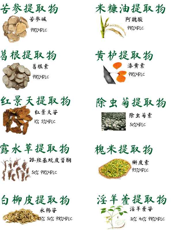 姜(ZINGIBER OFFICINALE)根提取物 姜辣素