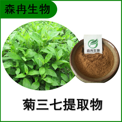 森冉生物 菊三七提取物 费菜提取物 植物提取原料粉