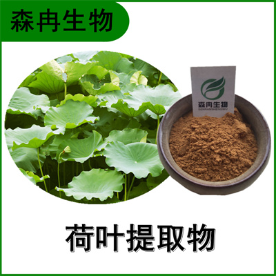 森冉生物 荷叶提取物 荷叶碱 莲叶提取物 比例提取