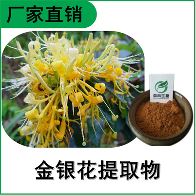 森冉生物 金银花提取物 忍冬花提取物 比例提取原料粉