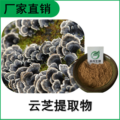 森冉生物 云芝提取物 云芝多糖 植物提取原料粉