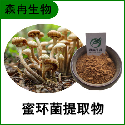 森冉生物 蜜环菌提取物 蜜环菌多糖 榛蘑提取物