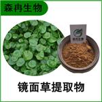 森冉生物 镜面草提取物 翠屏草提取物 比例提取原料粉