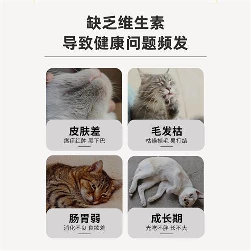 猫咪复合维生素瓶装颗粒粉剂生产线宠物营养补充剂贴牌加工