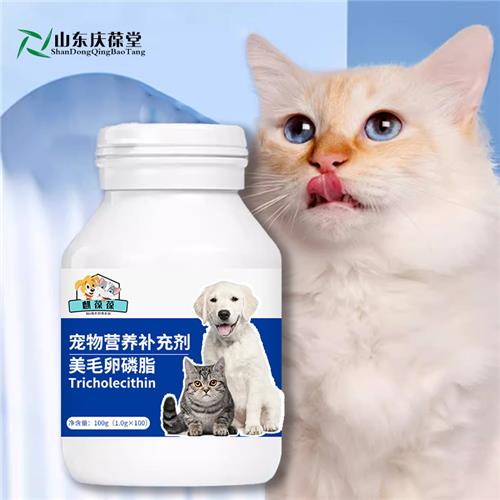 犬猫美毛卵磷脂加工定制宠物零食OEM贴牌代工