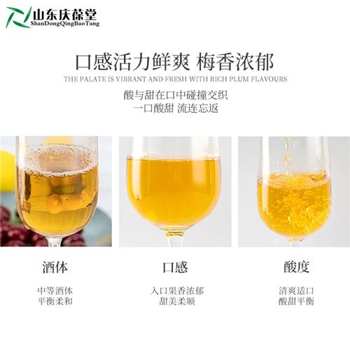 果酒定制加工青梅鲜果酒OEM贴牌代工