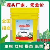 氨基酸對(duì)促進(jìn)作物根系生長(zhǎng)作用