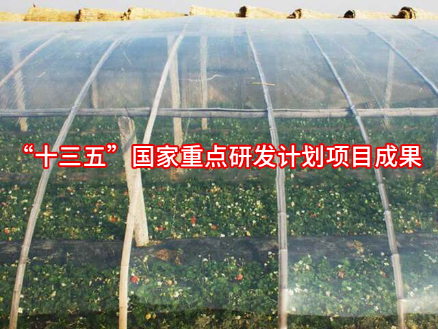 光能宝2号漫散射高光效涂覆膜-山东硕丰塑料制品有限公司