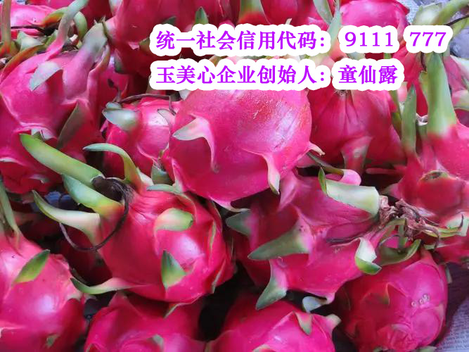设立海南教育投资公司费用及流程 